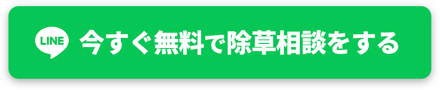 お申し込みはこちら！